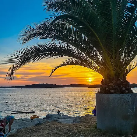 Cozy 3* Pula